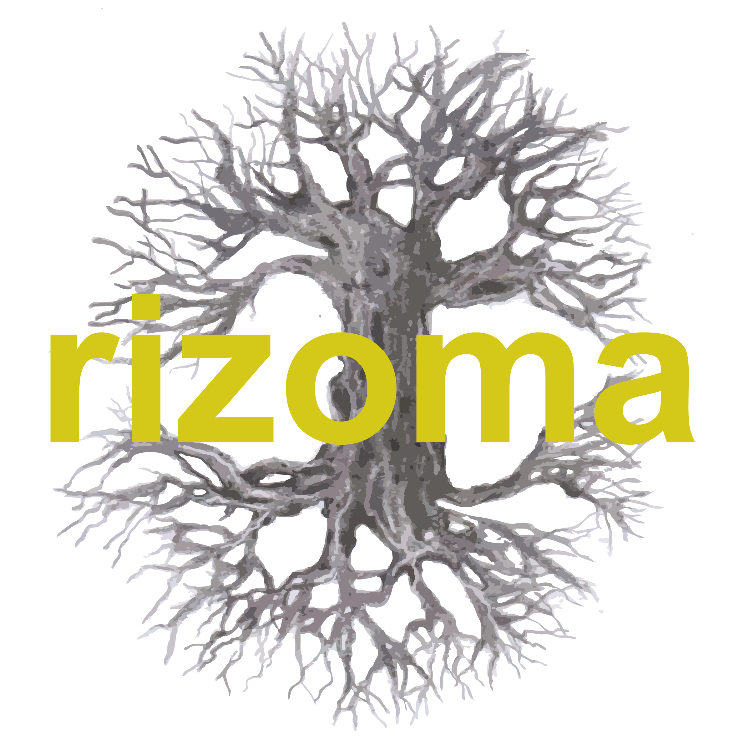 Boletín Rizoma